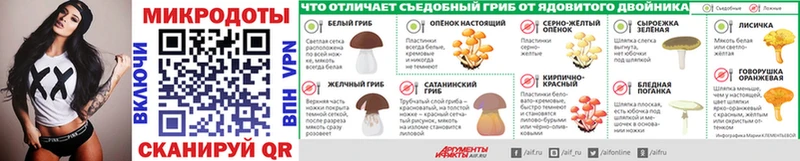 магазин    Агрыз  Галлюциногенные грибы прущие грибы 